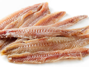 ANCHOVY FILLETS 730GM