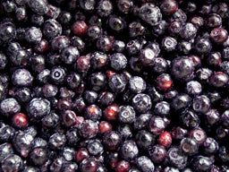 FRUIT - BLUEBERRIES FROZEN 1KG