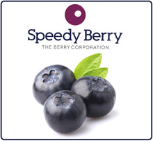 Load image into Gallery viewer, FRUIT - BLUEBERRIES FROZEN 1KG
