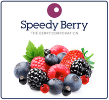 Load image into Gallery viewer, FRUIT - MIXED BERRIES FROZEN 1KG
