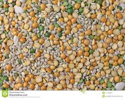 SOUP MIX 1KG